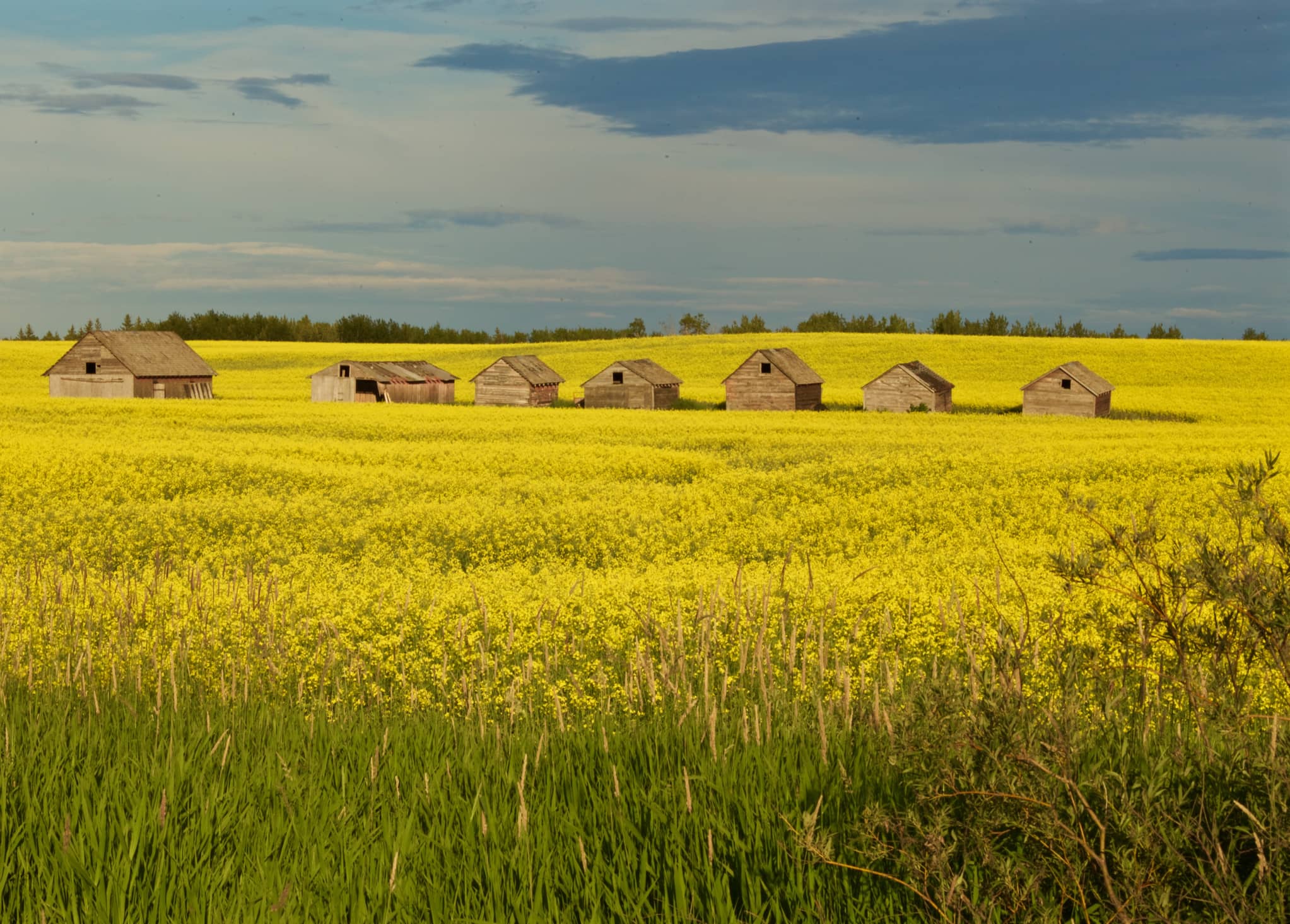 canada-rural-and-northern-immigration-pilot-canadavisa