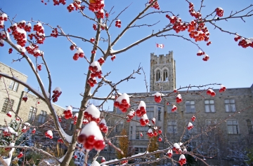 Study in Ontario : become a student in Canada | Canadavisa.com