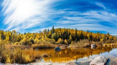 Manitoba landscape