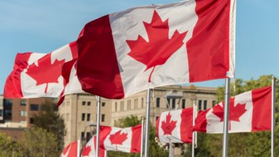 Multiple canada flags