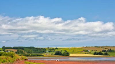 Pei landscape